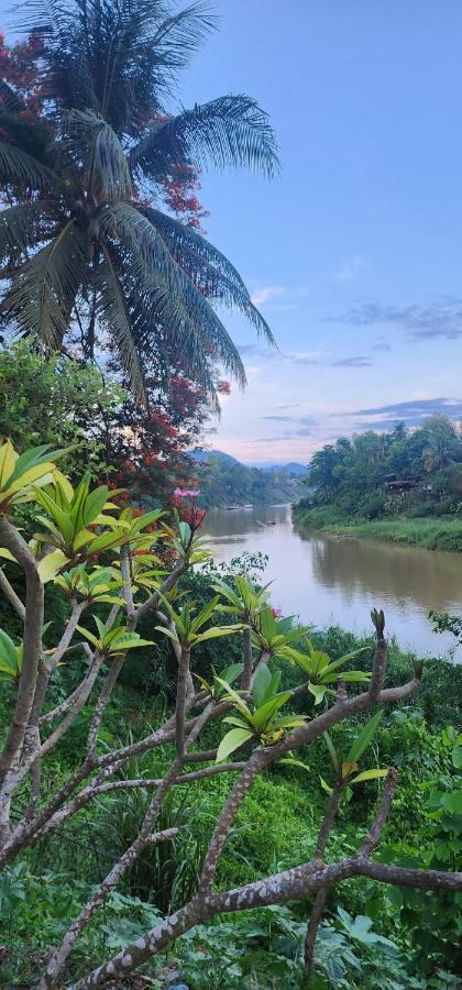 Maison Zen Aphay Luang Prabang Buitenkant foto